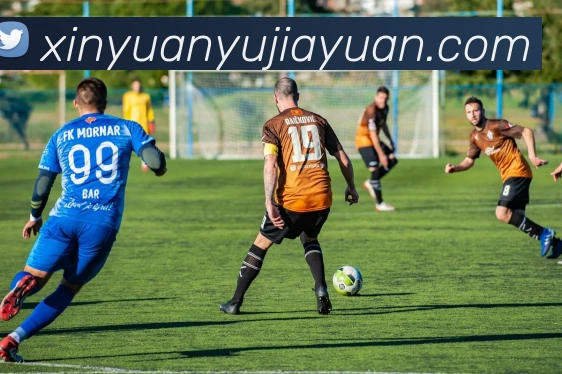 开云app发展历程