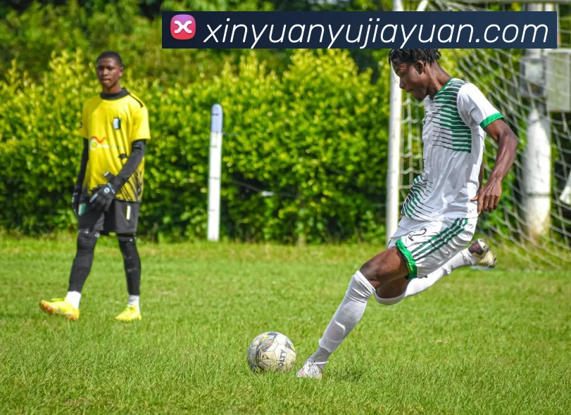 开云体育 APP免费下载，畅享全方位体育赛事直播与精彩投注体验